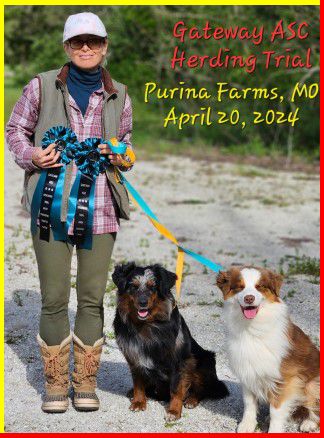 Herding Trial